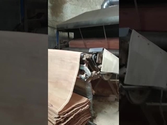 แผ่นวีเนียร์ตัดโรตารี PLB ไม้ธรรมชาติ