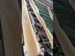 การตัดมงกุฎจากผงเอลม