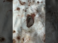 แมปป่า บอร์ล ฟเนอเรอร์