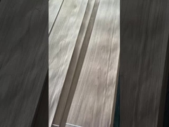 แผ่นผงตัดมังคุด