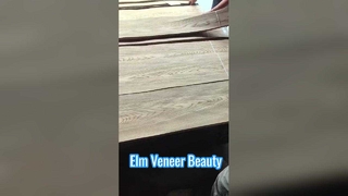 วีเนียร์ตัดเอล์มคราวน์