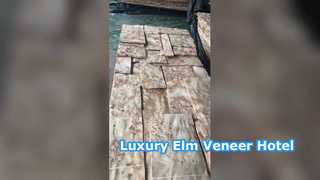 วีเนียร์มาบปา