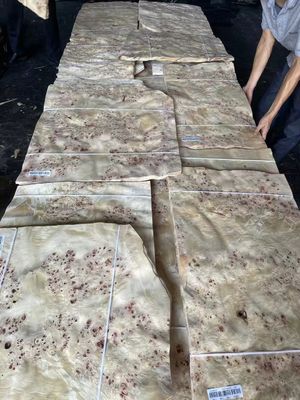 แผ่น Mappa Burl Veneer คุณภาพสูง สําหรับตกแต่งเฟอร์นิเจอร์