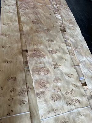 แผ่น Mappa Burl Veneer คุณภาพสูง สําหรับตกแต่งเฟอร์นิเจอร์