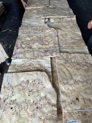 แผ่น Mappa Burl Veneer คุณภาพสูง สําหรับตกแต่งเฟอร์นิเจอร์