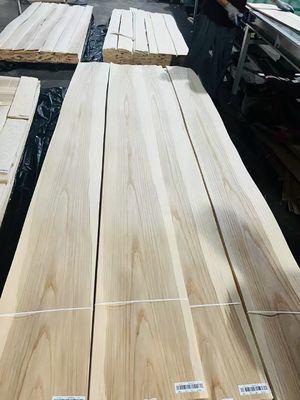 Grade AAA Natural White Ash Modern Style for Furniture Materials