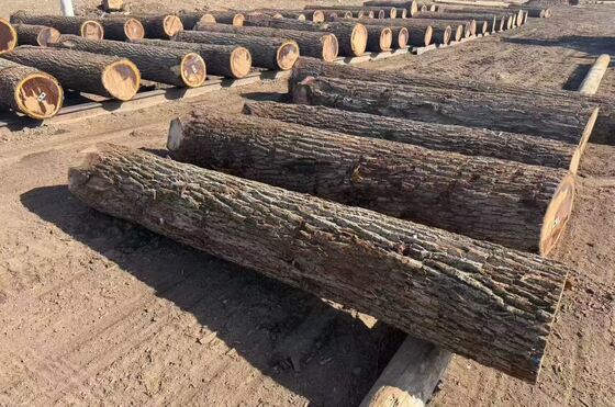 กระดาษฟาเนอเรอร์โอคที่มีรูปทรงเมล็ดมงกุฎในความหนา 0.2-0.6 มิลลิเมตรและความกว้างถึง 1220 มิลลิเมตรสําหรับเฟอร์นิเจอร์และตกแต่ง