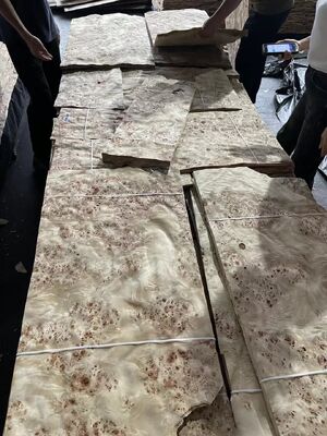 0ความหนา.5 มิลลิเมตร ตัด Mappa Burl Wood Veneer Sheets สําหรับตกแต่งโรงแรม